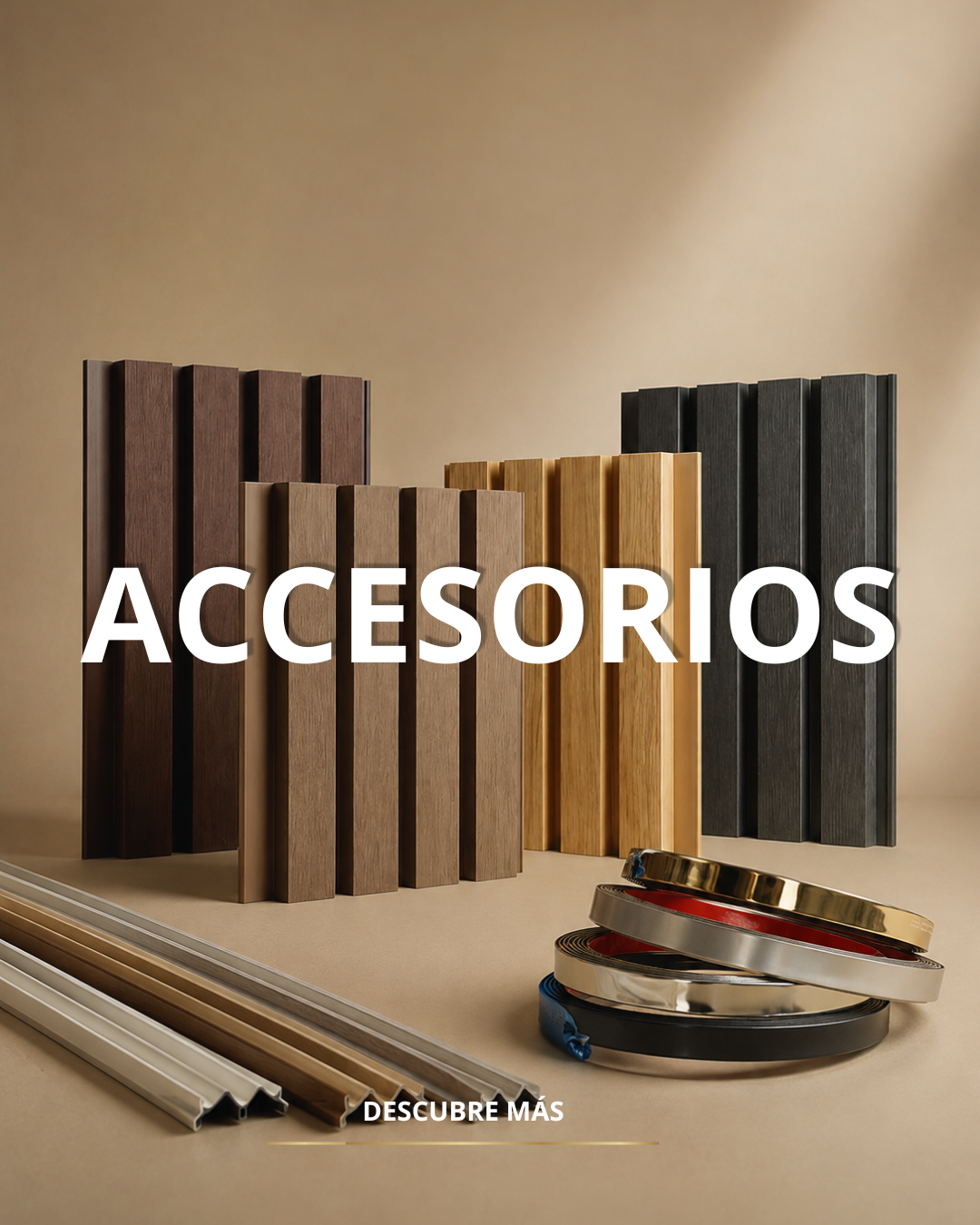 ACCESORIOS